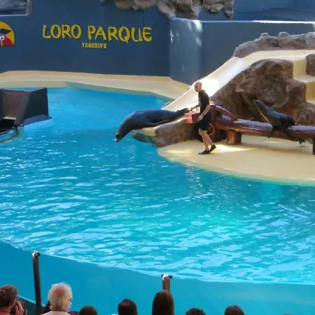 Ocean View Costa Adeje (Tenerife)