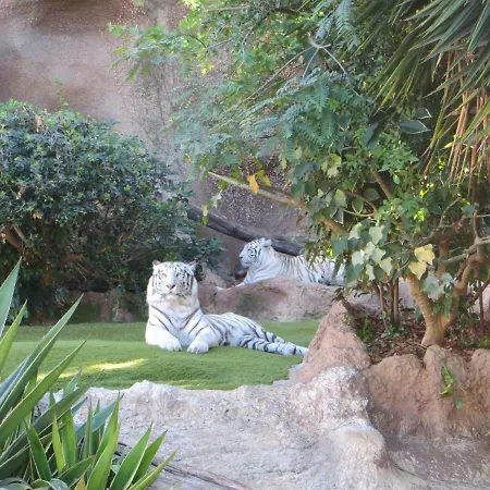 Appartamento Ocean View *