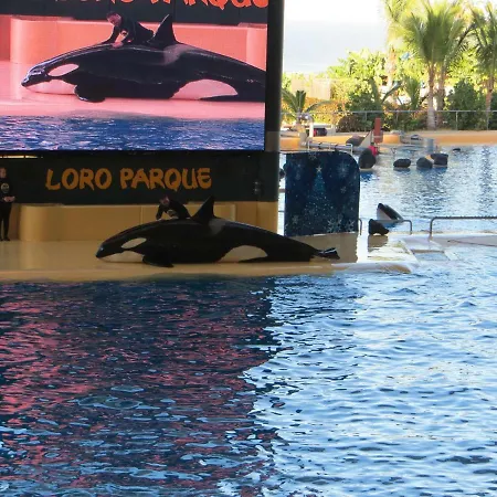 Apartment Ocean View *