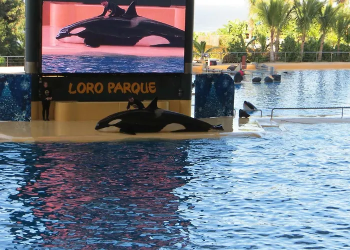 Appartement Ocean View *