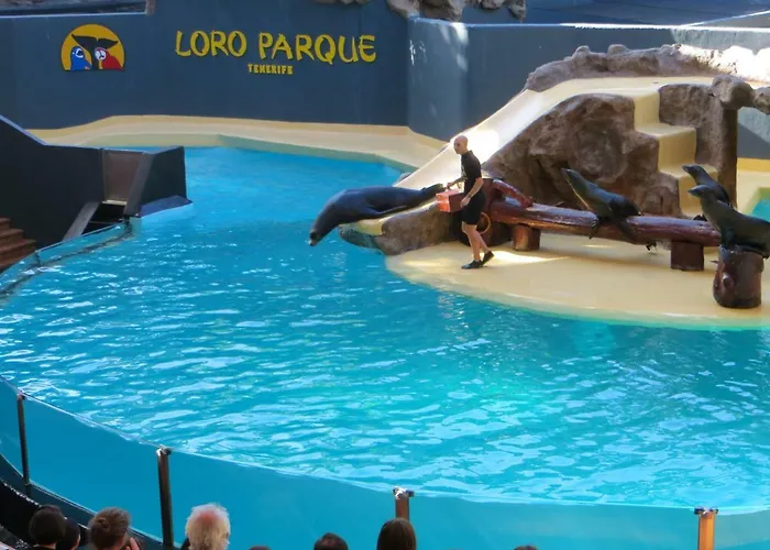 Ocean View Адехе