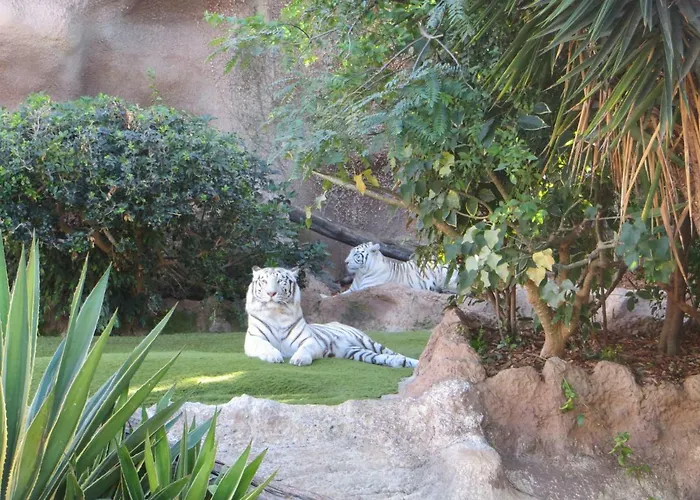 Апартаменти Ocean View *